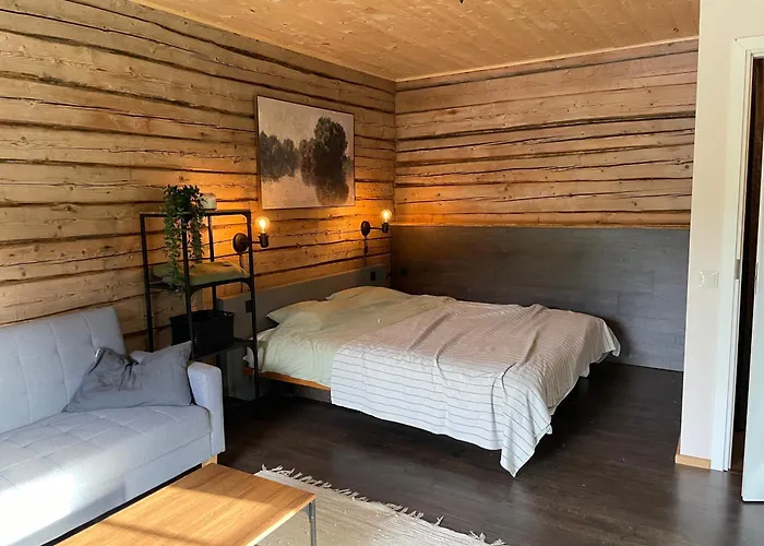 Apartament Loghouse By The